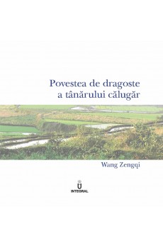 Povestea de dragoste a tânărului călugăr - Wang Zengqi